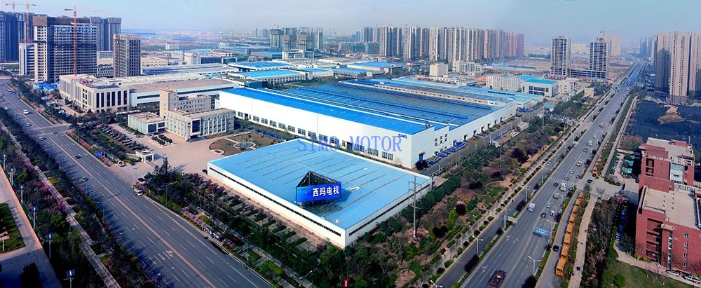 Locomotive dc motor2